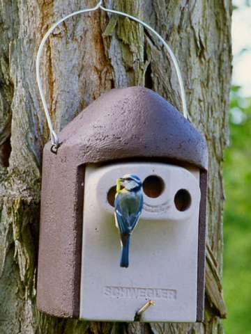 Schwegler nesting box