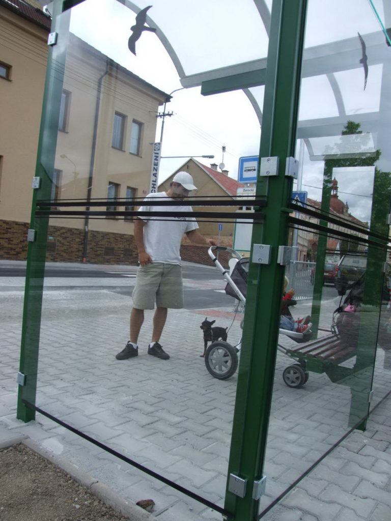 The sparrow crashed into a glass bus stop