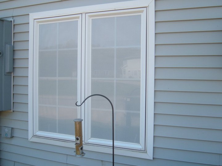 Bird table near to a window pane