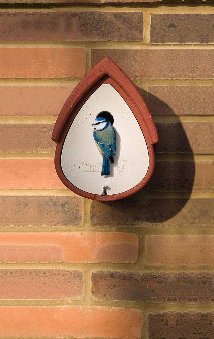 Nesting box fitted to the wall of a house