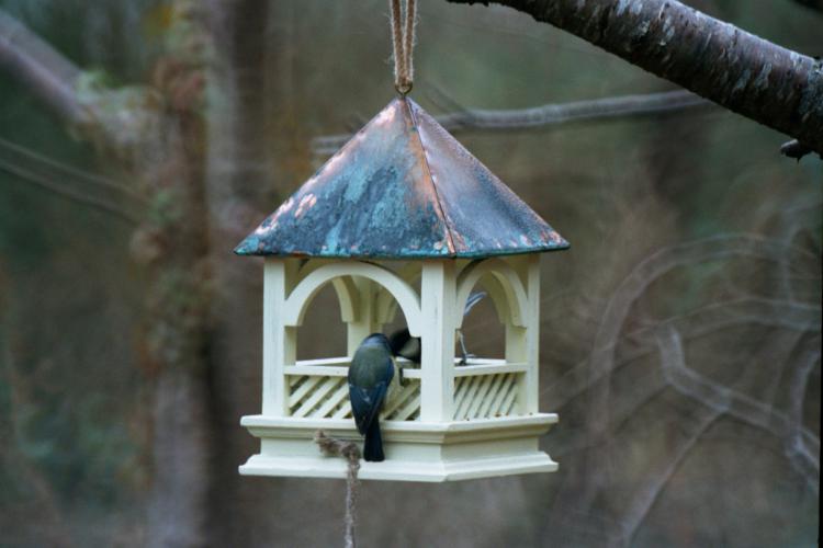 Hanging bird table