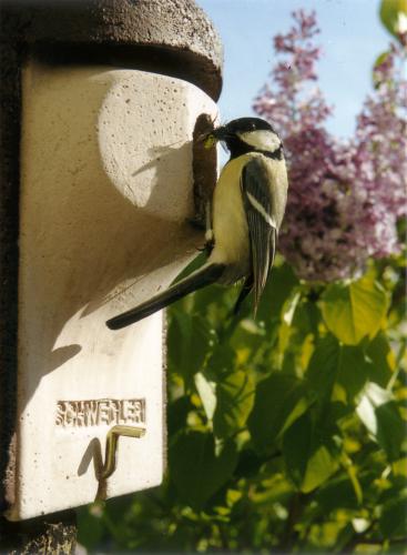 Safe nesting box