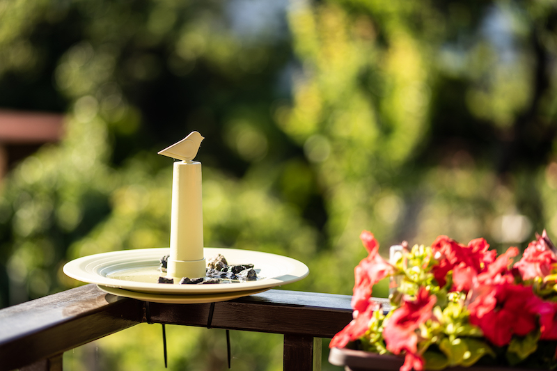 A water bowl can be placed on a balcony